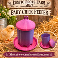 Chick & Quail Feeder
