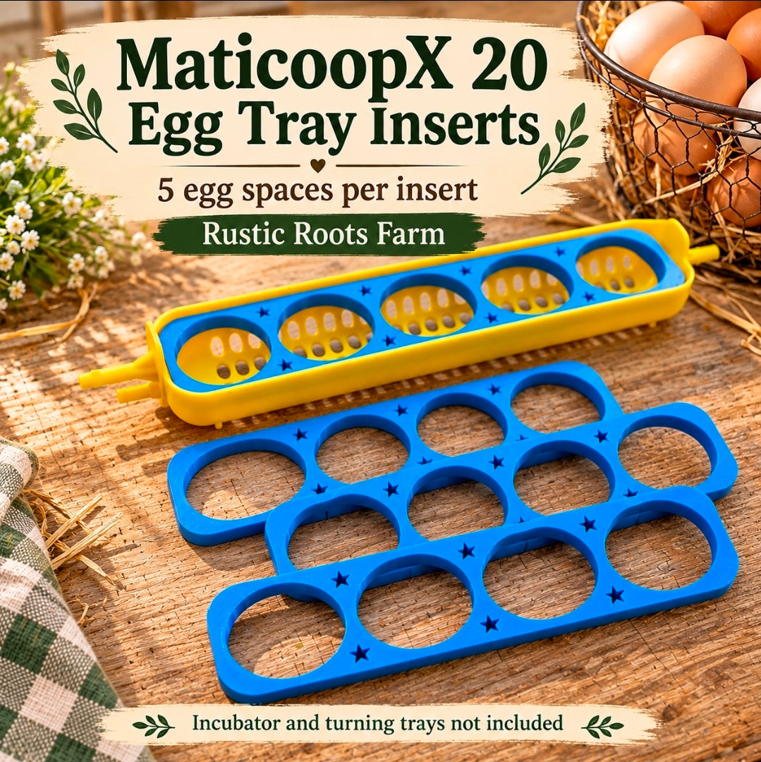 MaticoopX 20 Egg Insert Trays